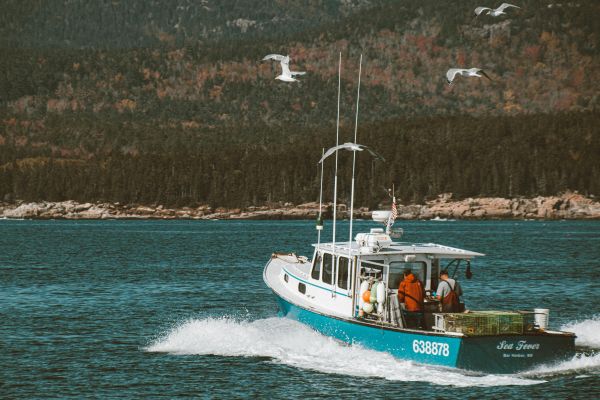À la découverte des vedettes : performance et confort en mer