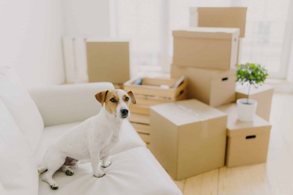 Quel est l'avantage d'installer des sièges avec des fonctionnalités de massage dans un Range Rover pour les longs trajets?